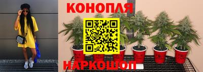 apvp Абинск
