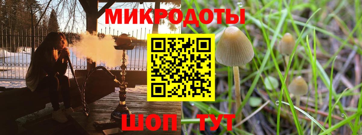 Алексеевка  Галлюциногенные грибы GOLDEN TEACHER  Галлюциногенные грибы ЛСД  купить  сайты  Вход с VPN 