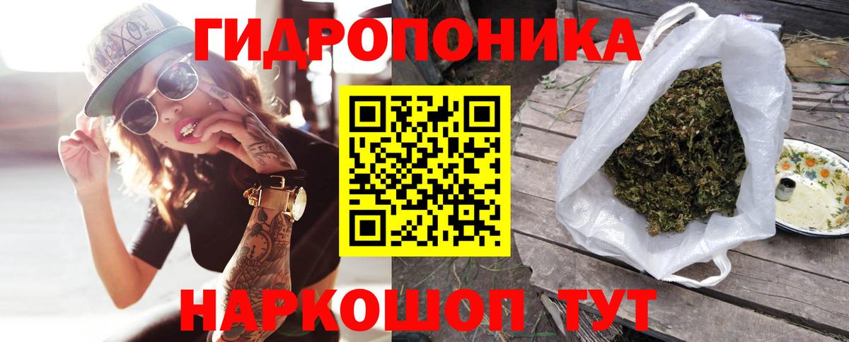 Бошки марихуана сатива Алексеевка